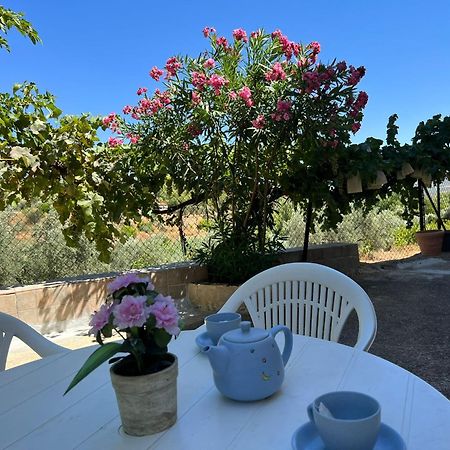 Casa Rural Del Saz Yeste Bagian luar foto