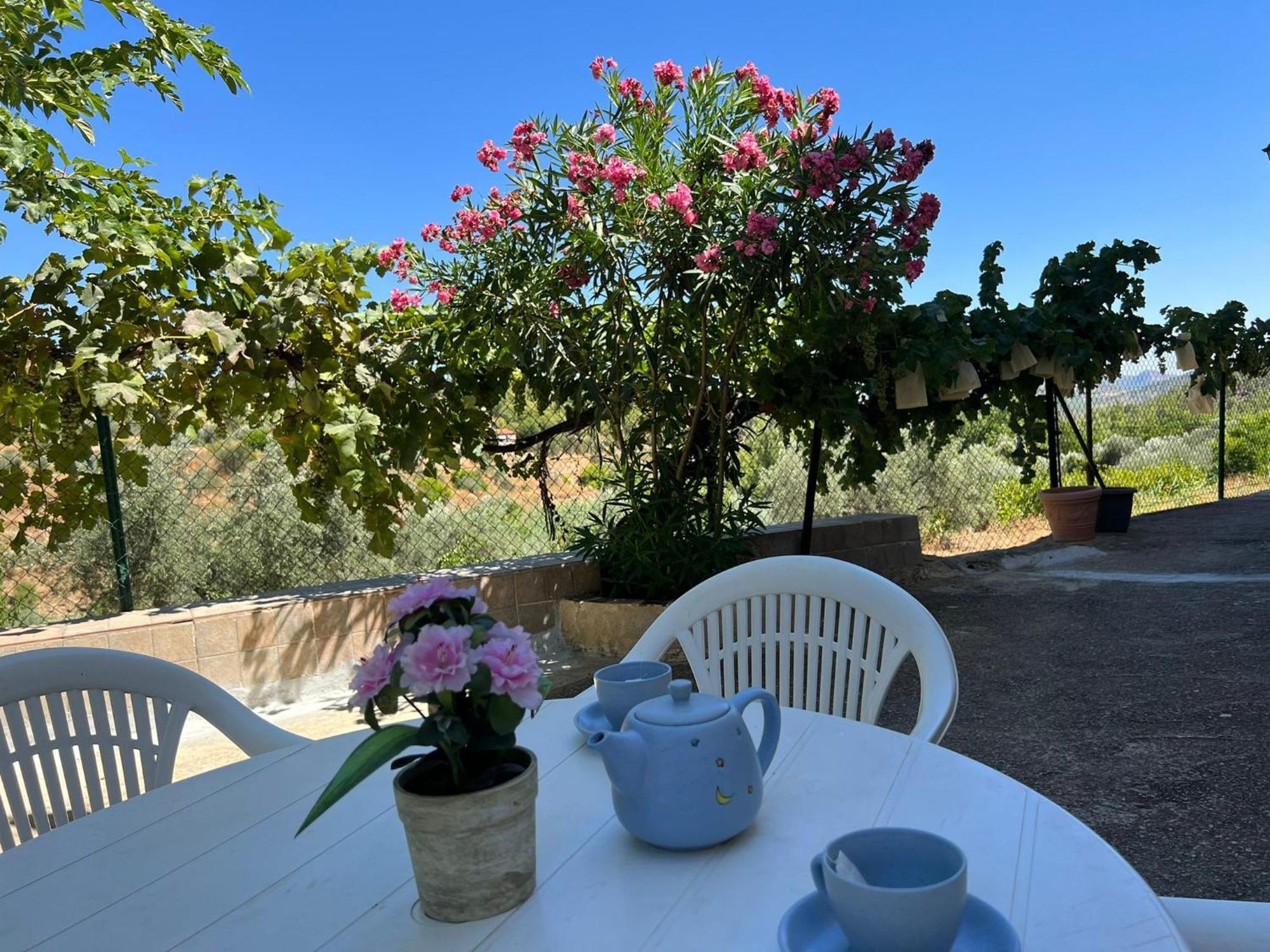 Casa Rural Del Saz Yeste Bagian luar foto